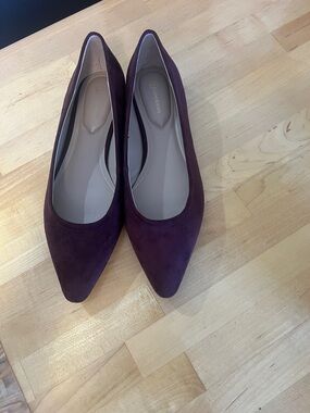 Gianni Bini NWOT Deep Plum Suede Pointed Flats